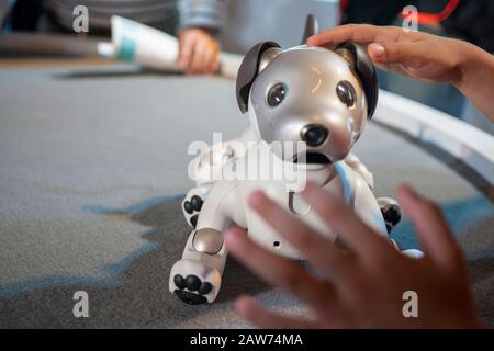 Shenzhen, China, April, 2019. AIBO robot on display at Sony Expo 2019. AIBO (stylized aibo, Artificial Intelligence Robot) is a series of robotic pets Stock Photo