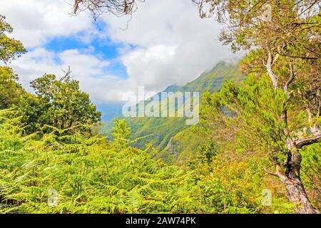 The magnificent inland of the island of Madeira Stock Photo