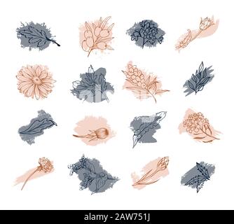 Flowers and floral blossoms with tree leaves, vector hand drawn sketch art. Oak leaf, olive branch and blooming flower buds and petals on gray and pink abstract ink smudge strokes, isolated decoration Stock Vector