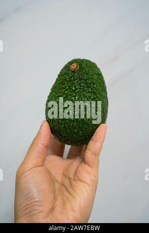 Fresh ripe tasty avocado isolated against white background, tropical fruit close-up Stock Photo
