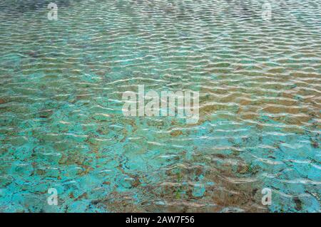 Close up of water surface in outdoor natural pool with transparent water and seaweeds visible Stock Photo