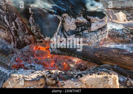 Fire pit with logs burning and charcoal red from heat. Texture, background Stock Photo