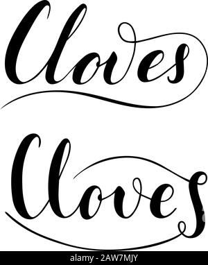 Vector hand written cloves text isolated on white background. Kitchen healthy herbs and spices for cooking. Script brushpen lettering with flourishes. Stock Vector