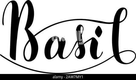 Vector hand written basil text isolated on white background. Kitchen ...