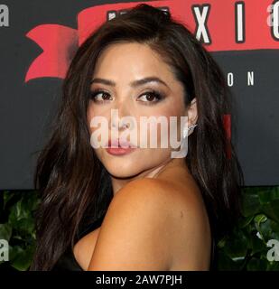 06 February 2020 - Los Angeles, California - Teresa Ruiz. NetflixÃs Narcos: Mexico Season 2 Special Screening held at the Netflix Home Theater in Los Angeles, California. (Credit Image: © AdMedia via ZUMA Wire) Stock Photo