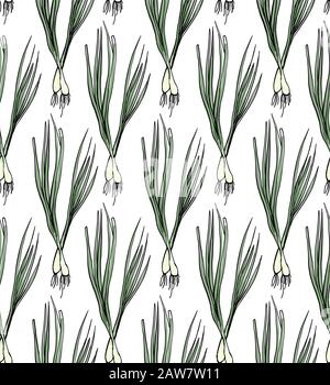 A seamless pattern with green onions on a white background. Stock Vector