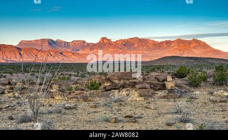 Chisos Mountains over Chihuahuan Desert at sunrise, view from Rio Grande Village Drive, Big Bend National Park, Texas, USA Stock Photo