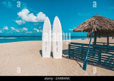 Stand up paddle long boards surfboard stuck in the sand on Beach. standup paddleboarding are at sea. Tourist attractions in Varadero. Stock Photo