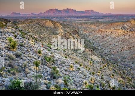Chisos Mountains, distant view from Old Ore Road, jeep road near McKinney Spring, Chihuahuan Desert, in Big Bend National Park, Texas, USA Stock Photo