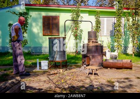 Domestic production with homemade distillery made of copper, making moonshine schnapps, alcoholic beverages such as brandy, vodka, cognac, whiskey, bo Stock Photo