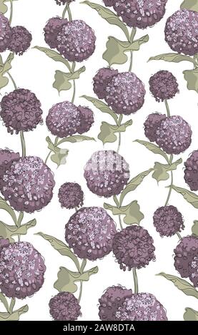 Vector floral design with blossom asclepias syriaca on white background Stock Vector