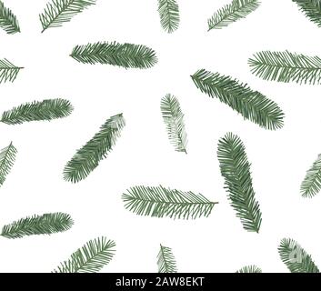 Seamless pattern of spruce, hand drawn botanical print. Stock Vector