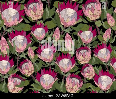 Vector seamless pattern with protea. Floral motif for wrapping, wallpaper, fabric, textile Stock Vector