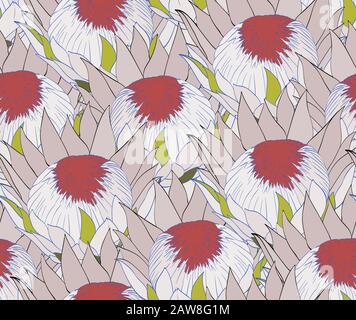 Seamless pattern with protea. Stock Vector