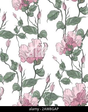 Seamless pattern, hand drawn pink pale Eustoma. Stock Vector