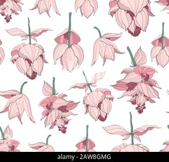 Seamless pattern, Medinilla magnifica flowers on white background, pink, red and white tones Stock Vector