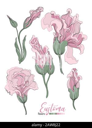 Vector design element set. Wedding vector invite card. Stock Vector