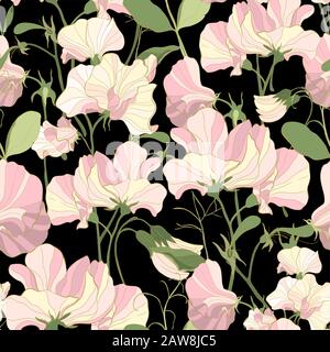 Pretty floral pattern with flowers of sweet peas. Stock Vector