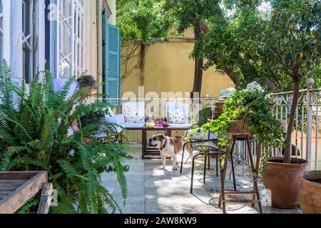 Chairs and potted plants on balcony Stock Photo