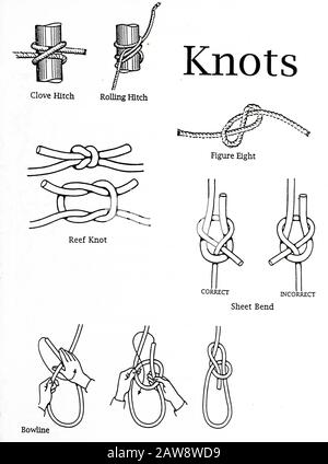 Rope and knots sheet bend Stock Photo: 51512619 - Alamy