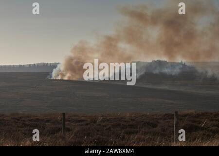 Gamekeeper using controlled heather burning as part of the grouse moor management. North Yorkshire Moors, England, UK, GB. Stock Photo