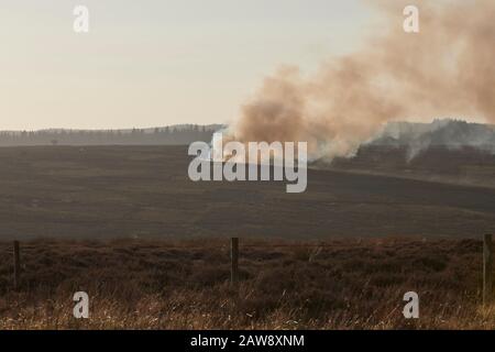 Gamekeeper using controlled heather burning as part of the grouse moor management. North Yorkshire Moors, England, UK, GB. Stock Photo