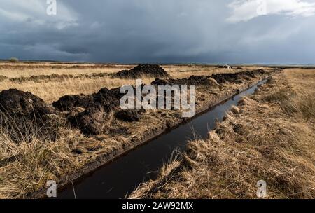 Cultivated peat bog bricks stacked for drying in rural Irish landscape ...