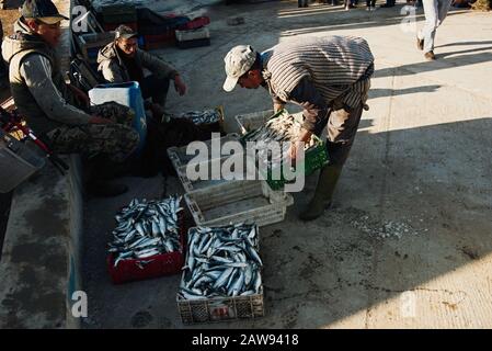 Morocco , Africa, January 16, 2020: Fishing boats in harbour Essaouira north Atlantic Morocco North Africa Stock Photo