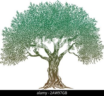 Olive tree black illustration, vector Stock Vector Image & Art - Alamy