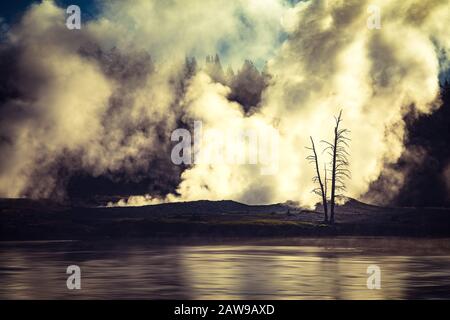 Fog rising from the geysers in the morning, Yellowstone National Park Stock Photo