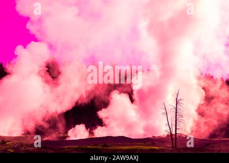 Fog rising from the geysers in the morning, Yellowstone National Park Stock Photo