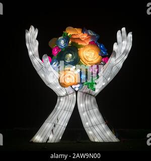 A bright light cupped hands with flowers dispplay exhibit Chiswick House and Gardens Lightopia lights festival show 2020 after dark at night in winter Stock Photo