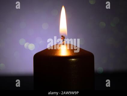 golden candle on white background. background image Stock Photo