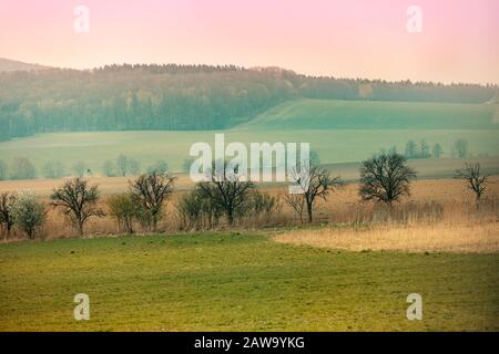 A row of the trees without leaves on the arable field against mountains. Farmland in the morning in early spring. Czech Republic, Europe Stock Photo