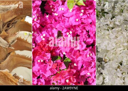 Different, beautiful textures in one collage Stock Photo