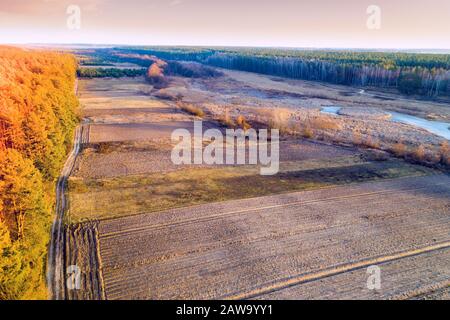 Autumn rural landscape. Aerial view. View of the countryside, arable fields and pine forest in the evening at sunset light Stock Photo