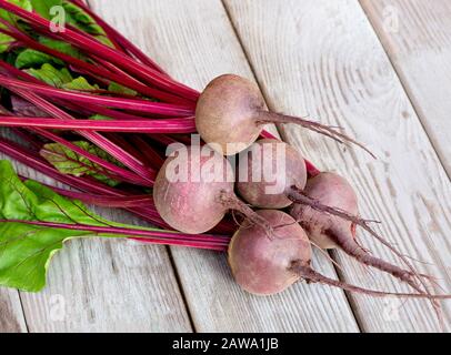 Beet, beetroot bunch on wooden background. Bunch beet. Fresh red beet with leaves. Stock Photo