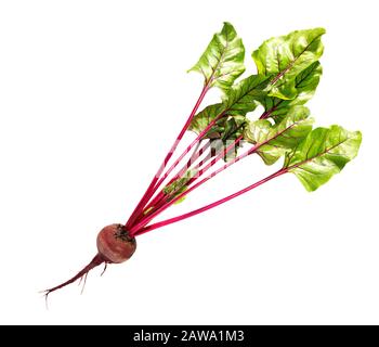 Beet isolated. Beetroot with leaves, fresh whole beet isolated on white background. Top view Stock Photo