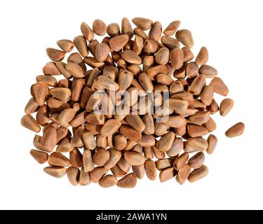 Nuts isolated. Cedar pine nuts. Cones of a Manchurian cedar (Korean pine). Ripe resinous cones. Stock Photo