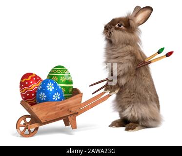 Cute Easter bunny rabbit with a little wheelbarrow and some painted Easter eggs, isolated on white, CG+photo Stock Photo