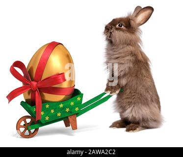 Cute Easter bunny rabbit with a little green wheelbarrow and a golden Easter egg with a red ribbon, isolated on white, CG and photo Stock Photo