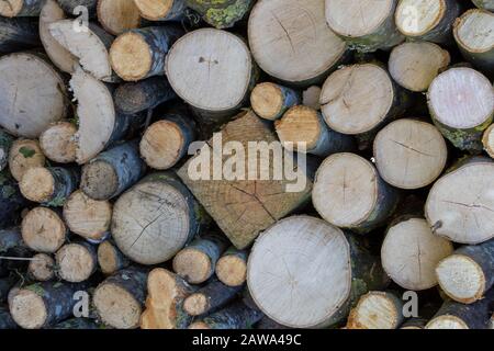 Square peg in a round hole Stock Photo