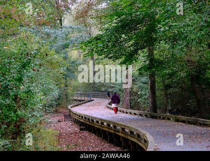 Woodland Walking Trail in Autumn Stock Photo