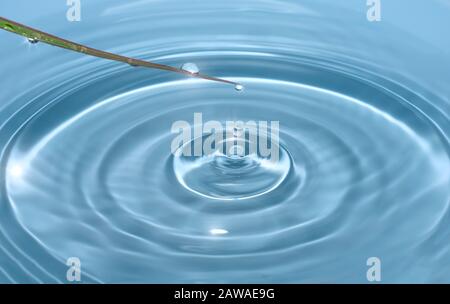 Dew drops in spring sunlight fall from a blade of grass into clear, transparent blue water forming circles on the water. Stock Photo