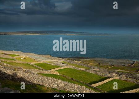 Green fields and stone walls  on Inishmaan island, middle of the Aran islands on the Wild Atlantic Way in Galway Ireland with Inishmore on the horizon Stock Photo