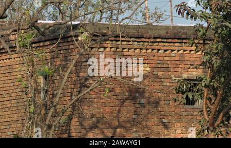 Rupandehi & Nawalparasi Different Area photograph this bird & vulture & landscape . Stock Photo