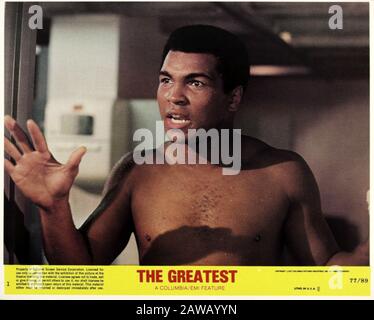 1977 , USA : The  USA poster advertising for the movie  THE GREATEST ( Io sono il più grande ) by Tom Gries , with Muhammad Ali ( Cassius Clay ) from Stock Photo