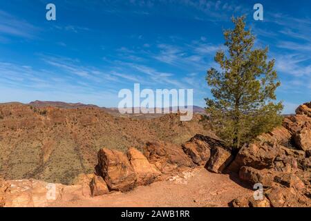 Arid country vegetation clings to survival along one of the scenic ridge-top walks at Arkaroola in the Flinders Ranges of South Australia. Stock Photo