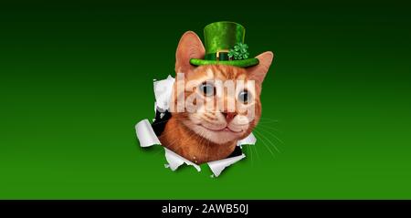 Saint Patricks day Irish holiday cat wearing a green leprechaun hat with a shamrock clover bursting out of paper with 3D illustration elements. Stock Photo