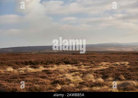 Gamekeeper using controlled heather burning as part of the grouse moor management. North Yorkshire Moors, England, UK, GB. Stock Photo